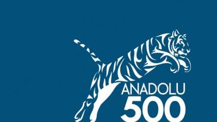 Anadolu 500’te 34 sektör yer aldı