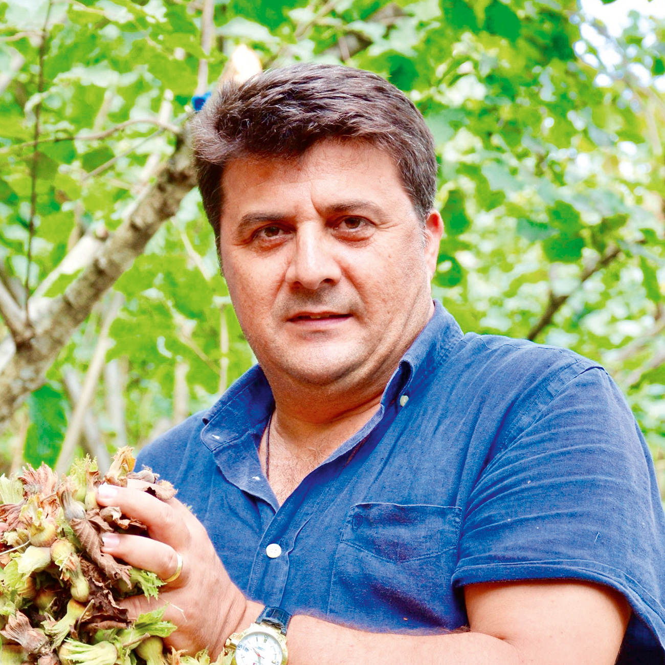 Fındığı don, kokarca ve kuraklık vurdu-4