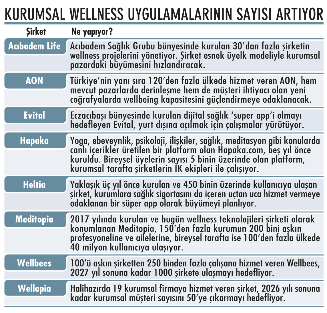 Sağlıkta yeni yatırım alanı: Kurumsal Wellbeing-1