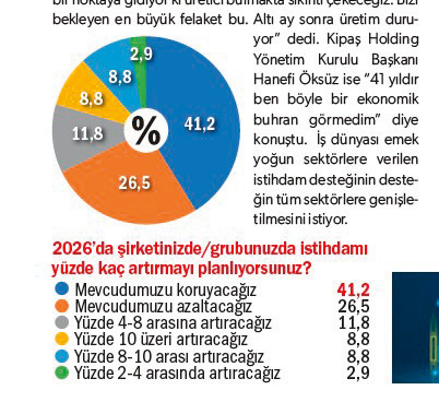 İstihdamda toplu büyüme yerine ‘temkinli’ alım-7