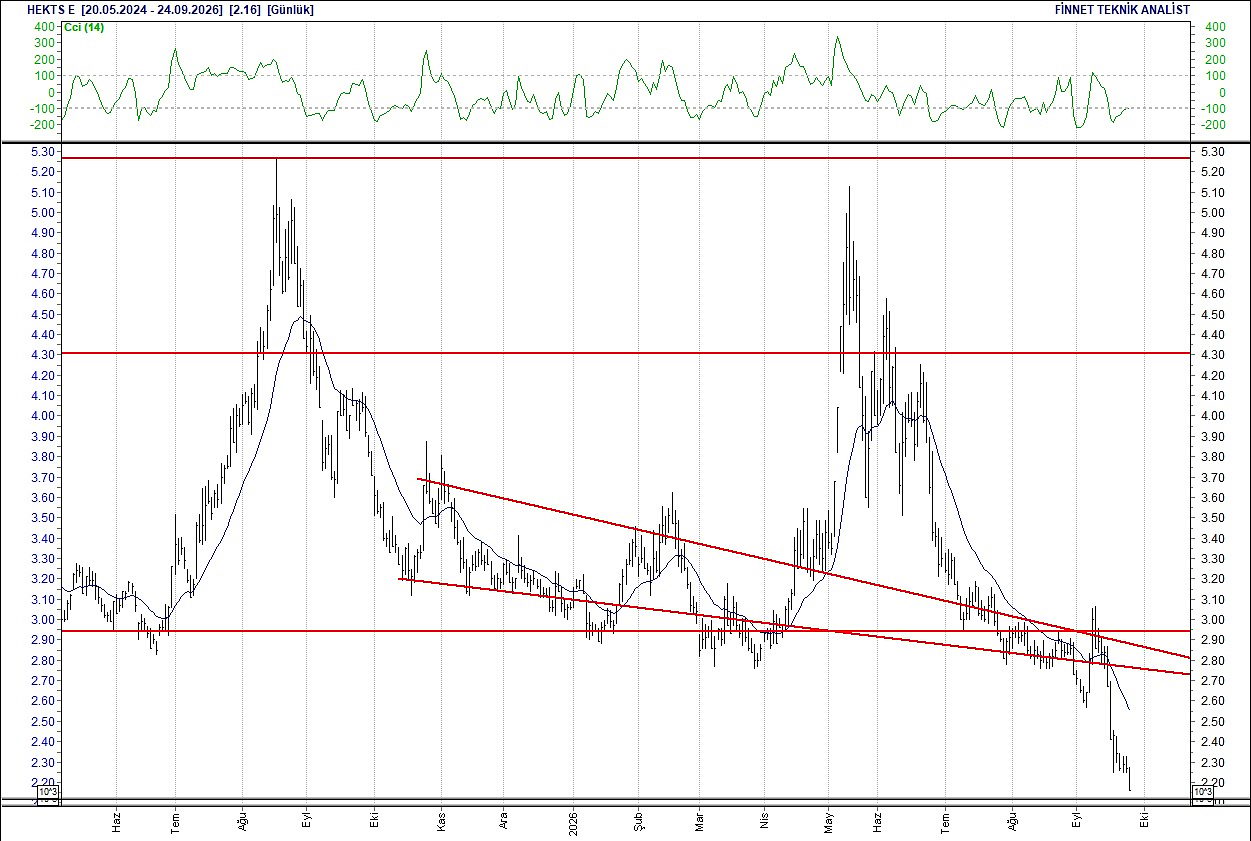 BIST 100 hisselerinin teknik analizi-8