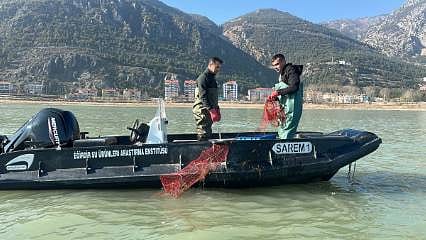 Isparta'da yetiştirildiler: Vebaya karşı dirençliler