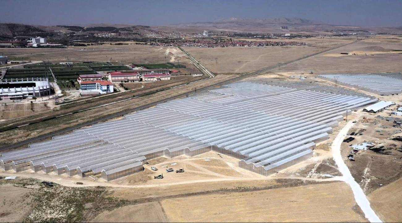 Türkiye’nin tek çatı altındaki en büyük serasını açtı