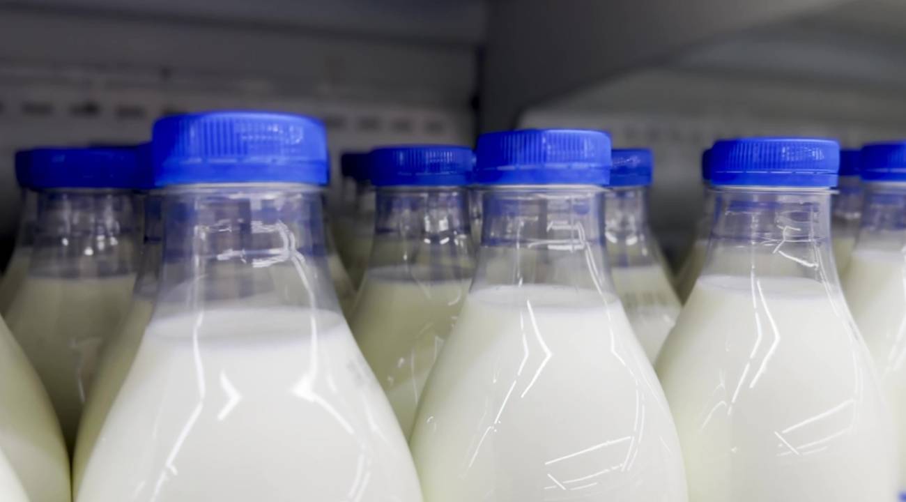 Süt şirketlerine soruşturma: Ünlü markalar da var
