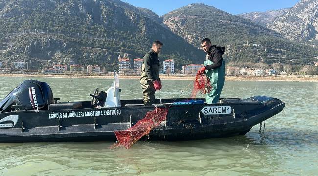 Isparta'da yetiştirildiler: Vebaya dirençliler