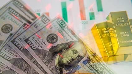 TÜİK açıkladı: 2024'te en fazla hangisi kazandırdı?