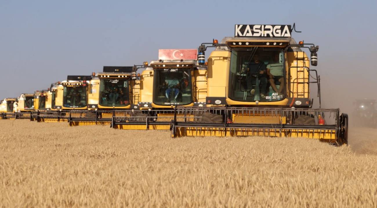 Dev işletmenin hasadı 184 biçerdöverle yapılıyor