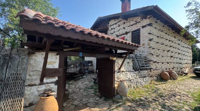 ‘EN FAZLA ALMANLAR RAĞBET EDİYOR’
