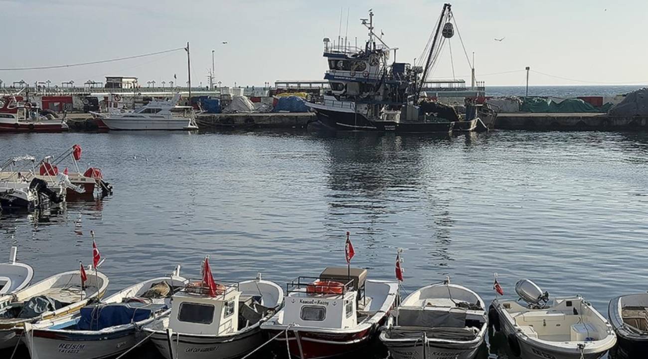 Tekirdağlı balıkçılar yeni yılda hamsi ve çinekoptan umutlu