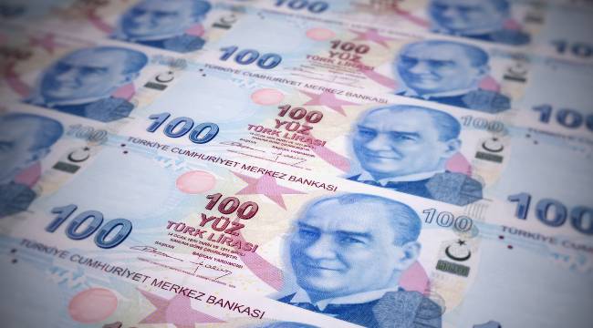 Yeni 100 TL ve 10 TL banknotlar tedavüle çıktı