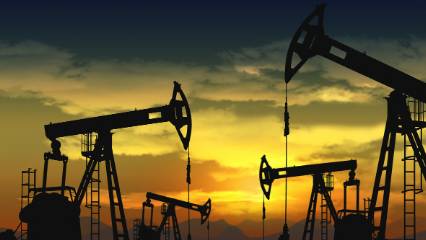 TPAO, Somali'de 3 kara sahasında petrol ve gaz arayacak