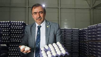 Yumurta üreticilerinden marketlere fiyat tepkisi