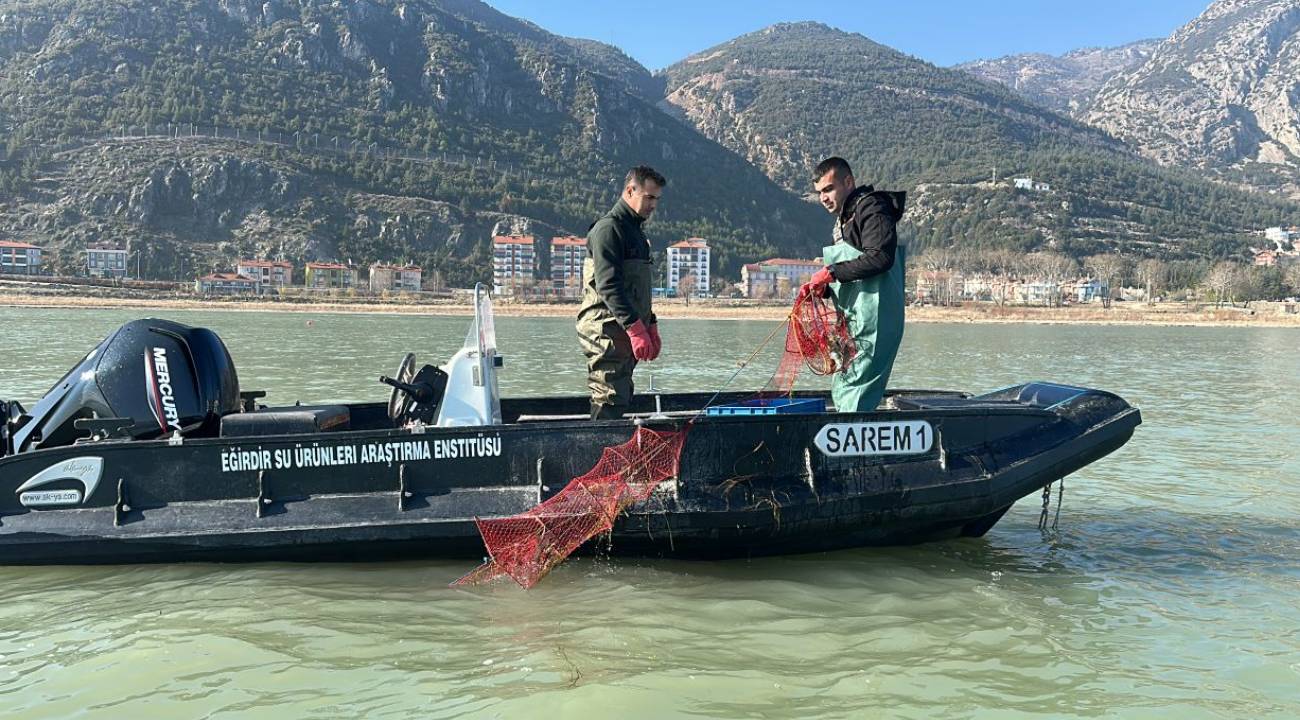Isparta'da yetiştirildiler: Vebaya karşı dirençliler