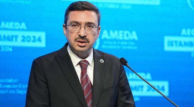 SPK Başkanı Gönül'e uluslararası görev