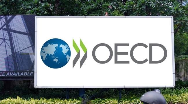 OECD, Türkiye için büyüme tahminini yükseltti