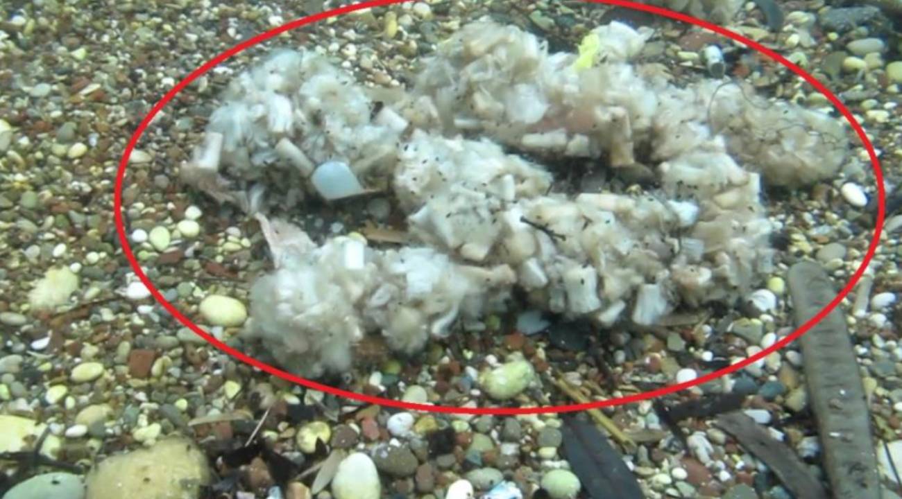 Deniz dibinde alarm seviyesi: "Pamuk tarlası" değil, sigara izmariti