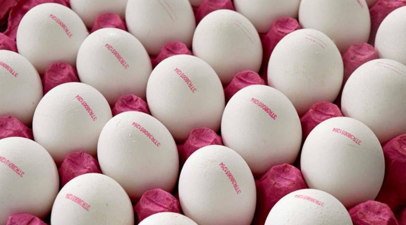 Yumurtada son kullanma tarihi ibaresi değişiyor