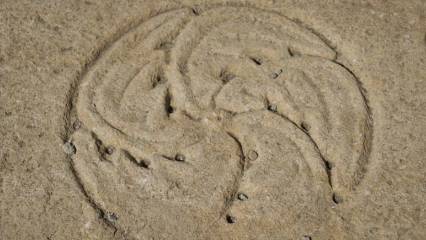 Satala Antik Kenti'nde kazılar devam ediyor: 'Anadolu'nun en narin iskeletleri' ortaya çıkarıldı