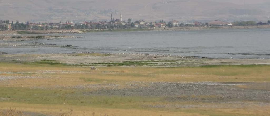 Endişe verici tablo: Uydu görüntüleri kirliliğin merkezlerini gösterdi-1