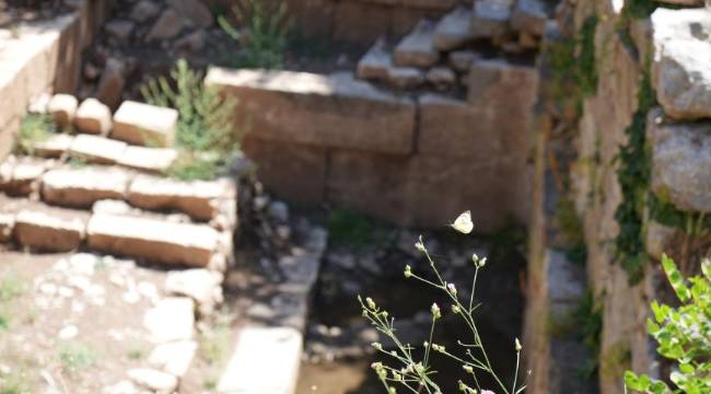 Nekropol yolu, su yapıları ve hadrian kapısı gündemde
