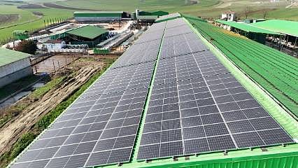 Günlük 16 ton süt üretimini 846 panelden elde edilen enerjiyle yapıyor!