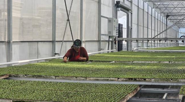 Lojistik avantajlarla stratejik konuma sahip