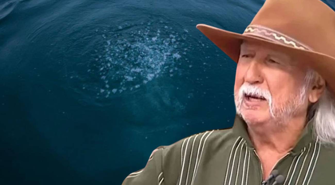 Şener Üşümezsoy bölgeyi işaret etmişti: Sapanca Gölü'ndeki kabarcıklar tedirgin ediyor