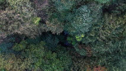 Düzce'nin gizli cenneti: Aydınpınar Şelalesi dört mevsim büyülüyor