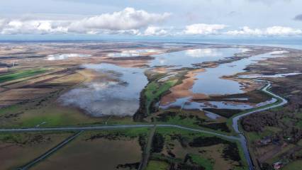 Karadeniz'in incisi kuruyor: Biyolojik çeşitlilik tehdit altında
