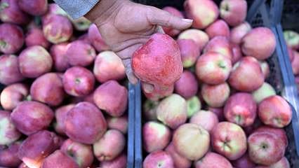 Buz kalkanı "Spring su uygulaması" ile yüksek verim