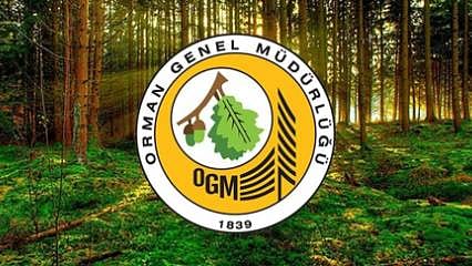 Orman Genel Müdürlüğü (OGM) 105 personel alacak... İşte başvuru şartları ve personel alınacak branşlar
