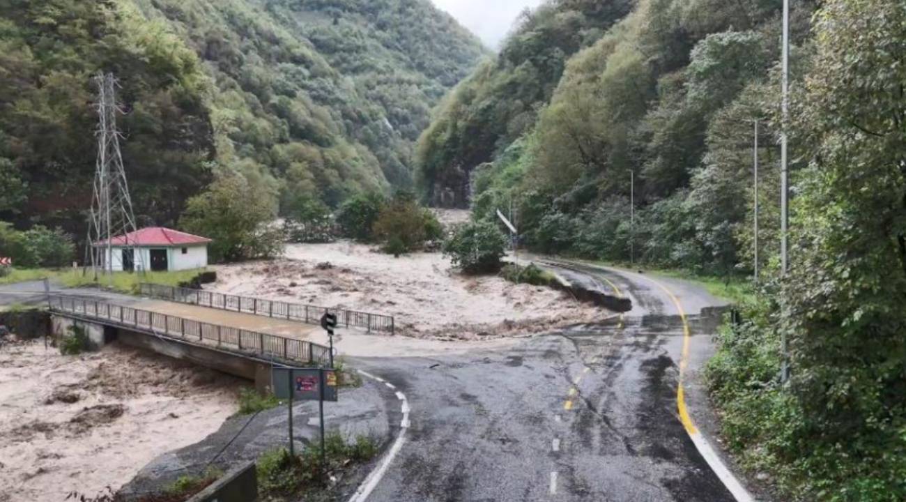 Artvin'de sağanak yağış sele neden oldu