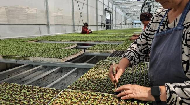 Hedef Avrupa pazarına katma değerli ürün ihracatı