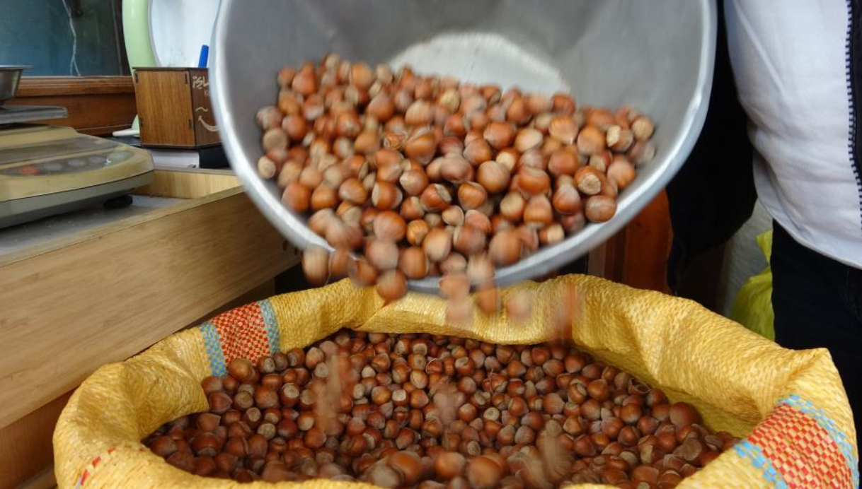 Giresun fındığı 350 TL bandına yükseldi... İşte fındık fiyatlarında son durum-1