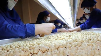Fındıkta bu sezon 2,5 milyar dolar ihracat geliri hedefleniyor