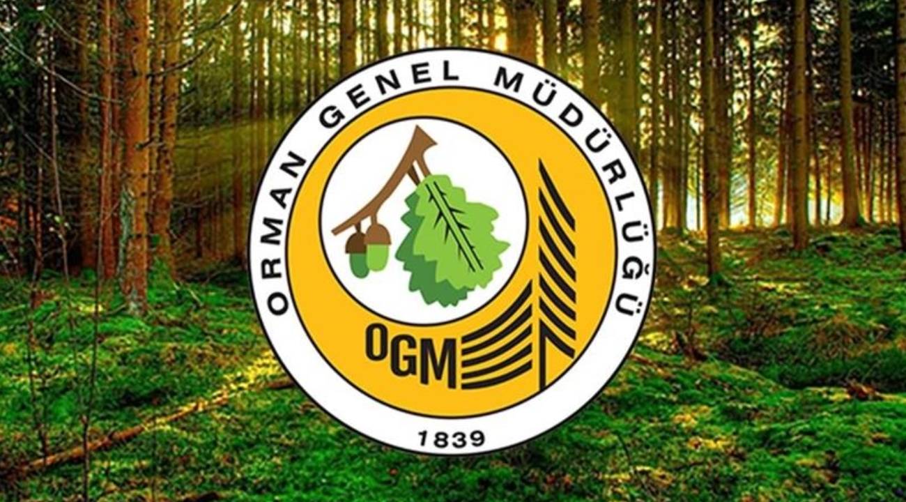 Orman Genel Müdürlüğü (OGM) 105 personel alacak... İşte başvuru şartları ve personel alınacak branşlar