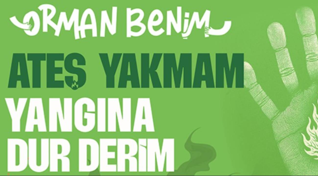 "Orman Benim" Etkinliği 2025 ne zaman ve nerede gerçekleşecek? İşte etkinlik düzenlenecek yerler