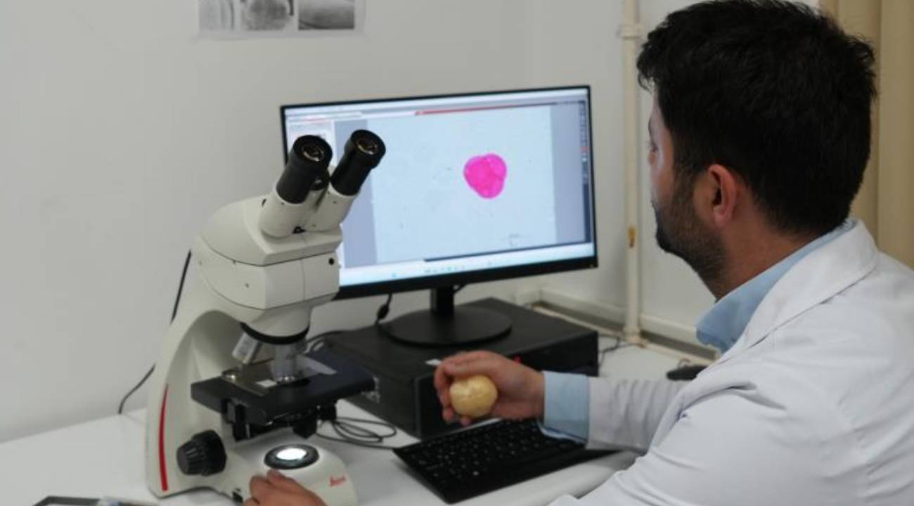 Uzman uyardı 'analizler yapılmalı': 'Deli Bal'da dikkat edilmesi gereken risk!