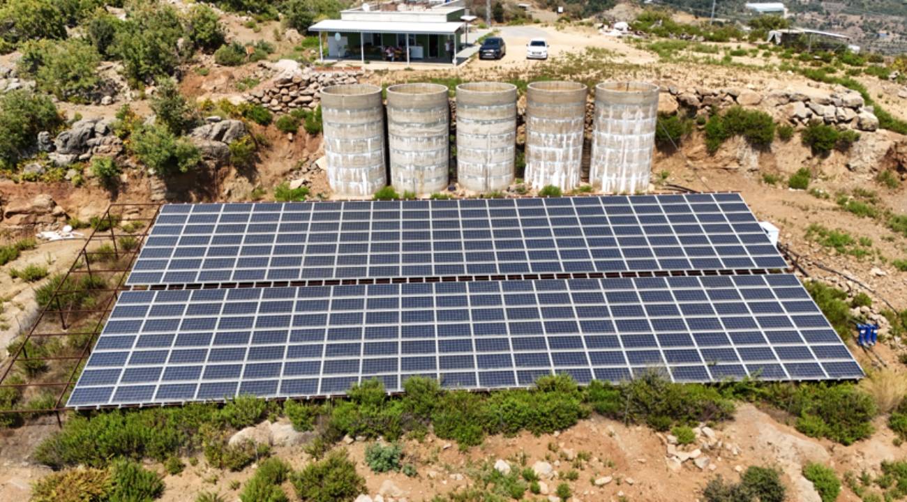 Kırsalda yepyeni bir dönüşüm: Güneş enerjisiyle büyüyen tropikal meyve bahçesi