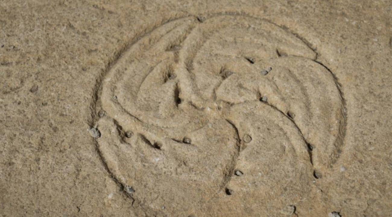 Satala Antik Kenti'nde kazılar devam ediyor: 'Anadolu'nun en narin iskeletleri' ortaya çıkarıldı