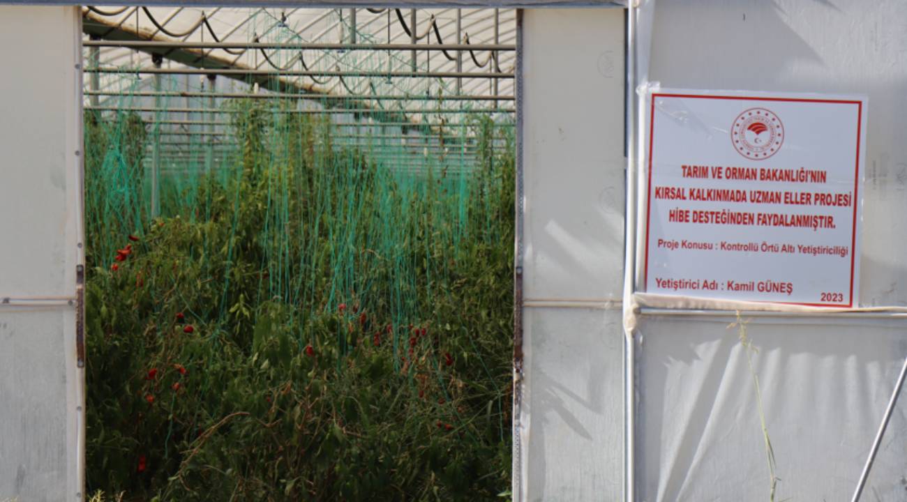 Bölümünü okudu, hibe aldı: 1500 metrekare alanda yıllık 10-15 ton ürün yetiştiriyor