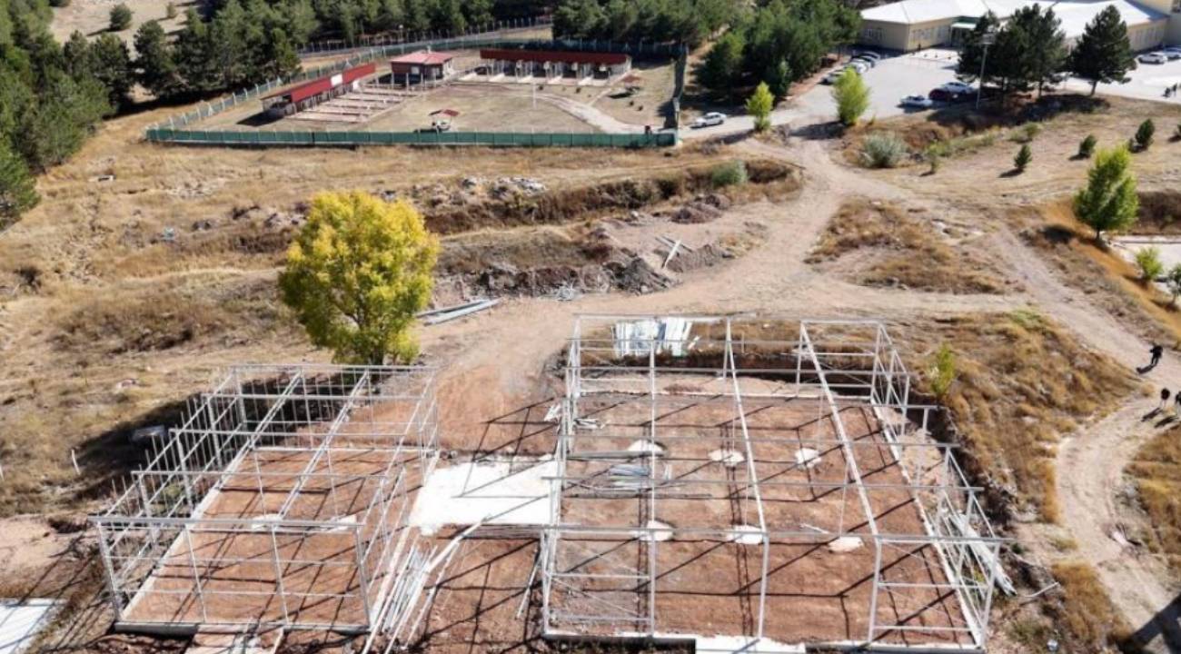 Türkiye'de bir ilk: Yapay zeka ile domates ve çilek ihracatı