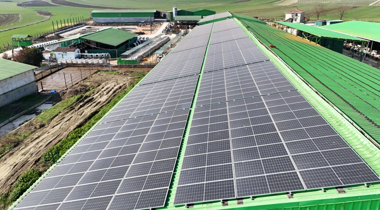 Günlük 16 ton süt üretimini 846 panelden elde edilen enerjiyle yapıyor!