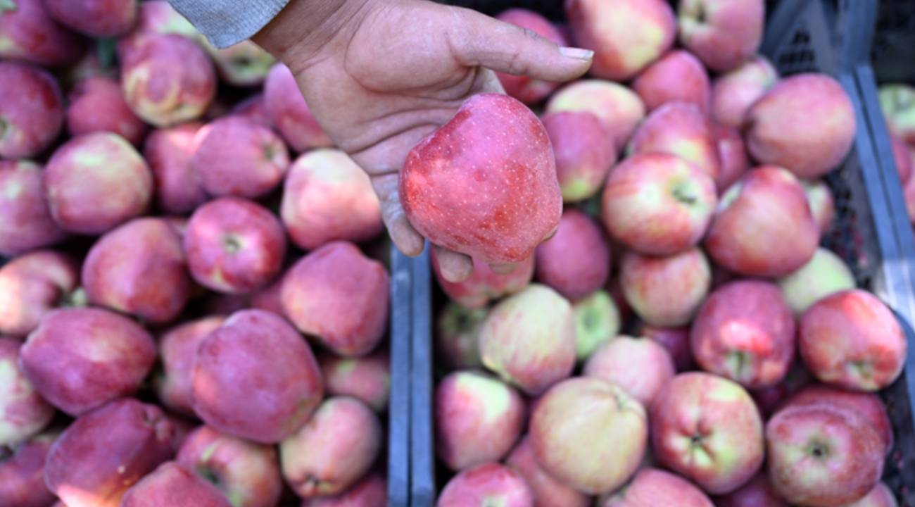 Buz kalkanı "Spring su uygulaması" ile yüksek verim