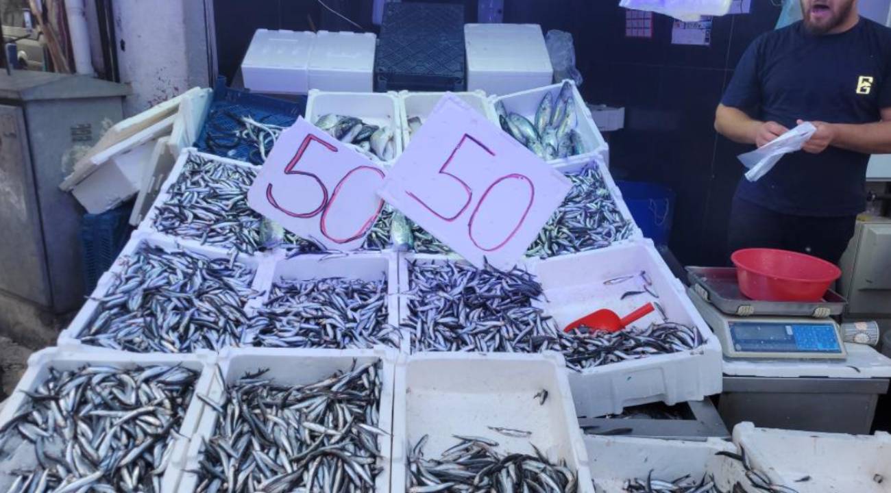 Karadeniz'deki bolluk, fiyatları 50 liraya çekti