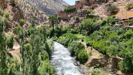 Bitlis’in saklı cenneti: Hacı Mehmet köyü doğaseverlerin yeni gözdesi oldu