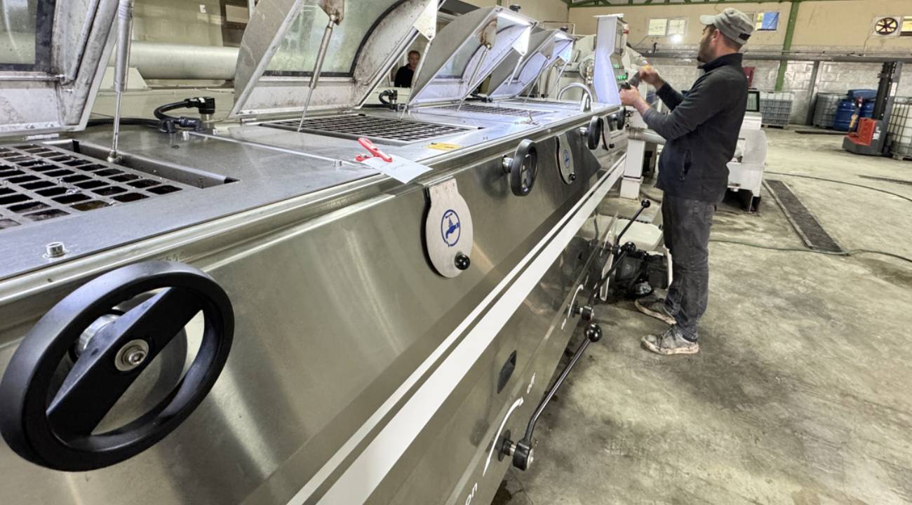 Muhtar tesis açtı köyün kaderi değişti: 10 milyon liralık yatırım, 250 ton üretim