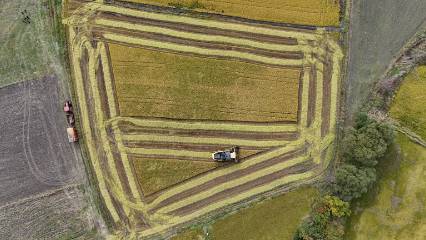 6 ay süren çeltik mesaisi bereketle sonuçlandı: Trakya'da dekar başına 1200 kilogram verim