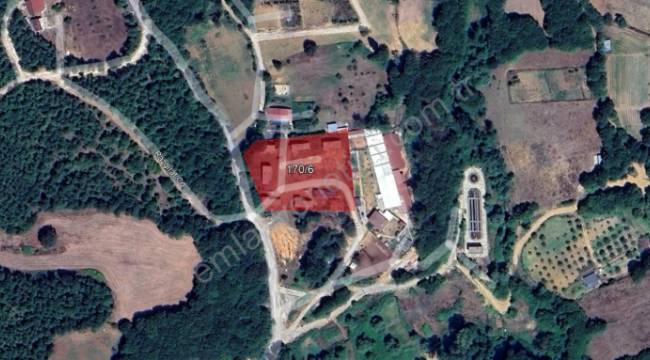 İSTANBUL ÇATALCA GÜMÜŞPINAR'DA 4.248,74 M² 1/5.0000 NİP'DE TARIM ALANI