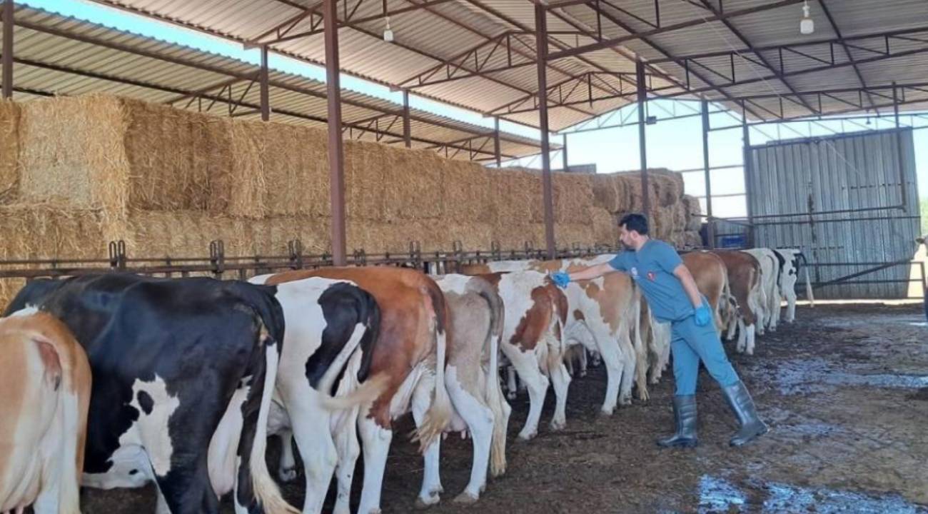 Nazilli'de 13 mahalle karantinaya alındı